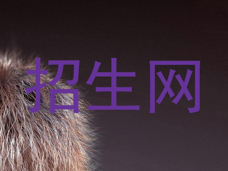 招生网