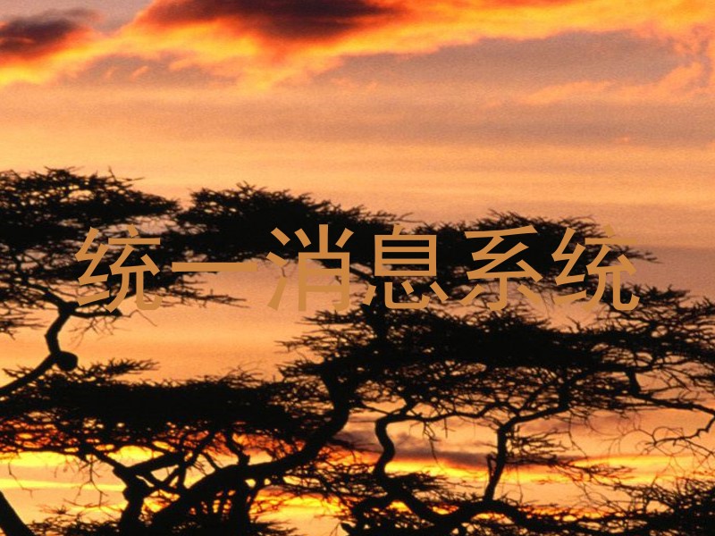統(tǒng)一消息系統(tǒng)
