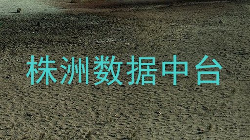 株洲数据中台