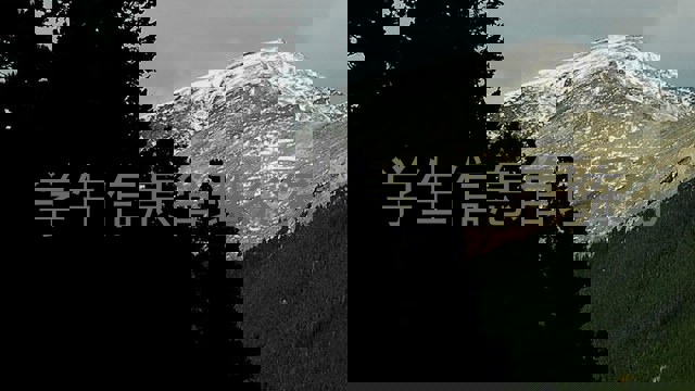 学生信息管理系统