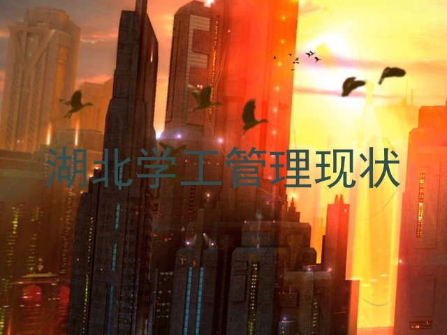 湖北学工管理现状