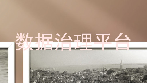 数据治理平台