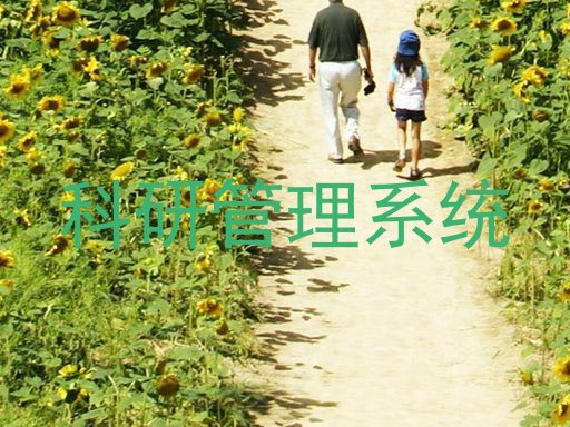 科研管理系统