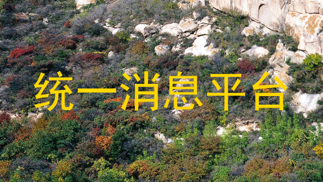 統(tǒng)一消息平臺(tái)