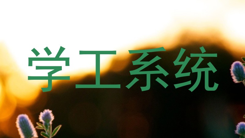 学工系统