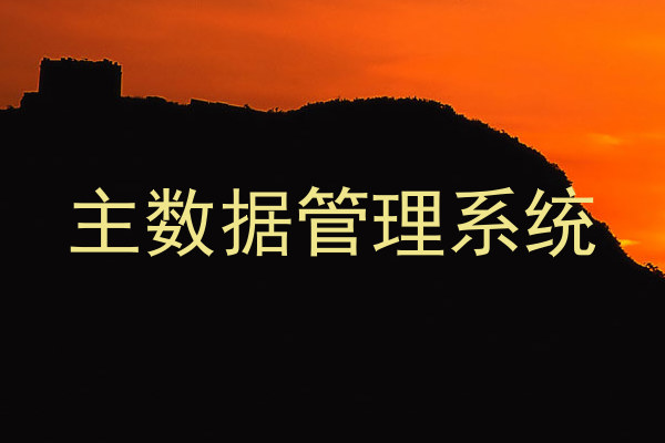主数据管理系统