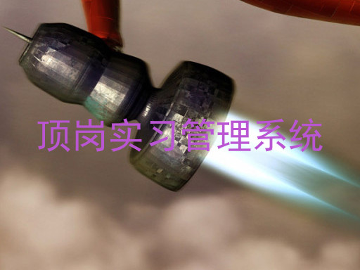 顶岗实习管理系统