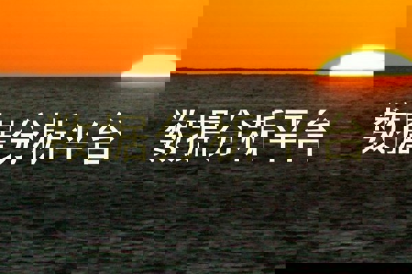 数据分析平台