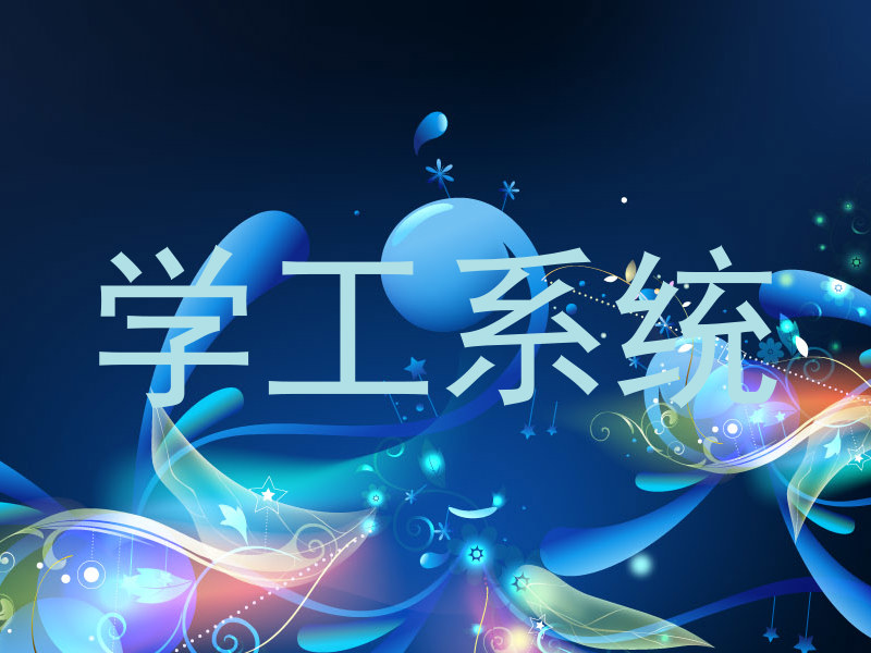 学工系统