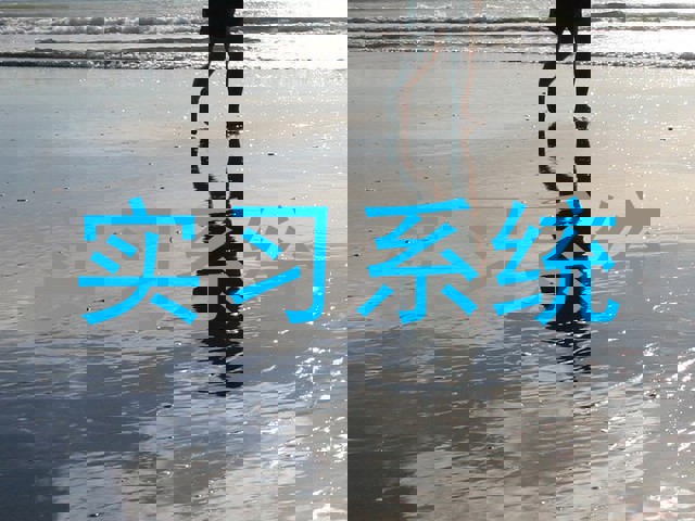 实习系统