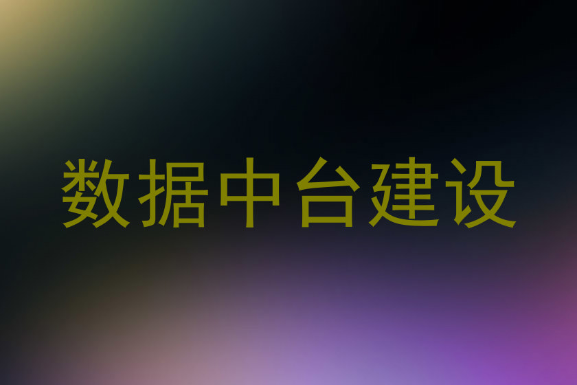 数据中台建设