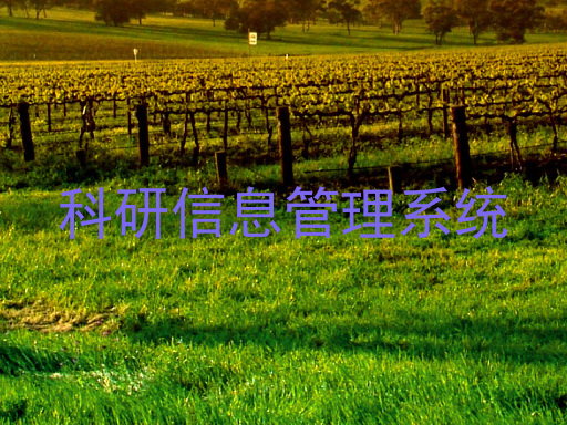 科研信息管理系统