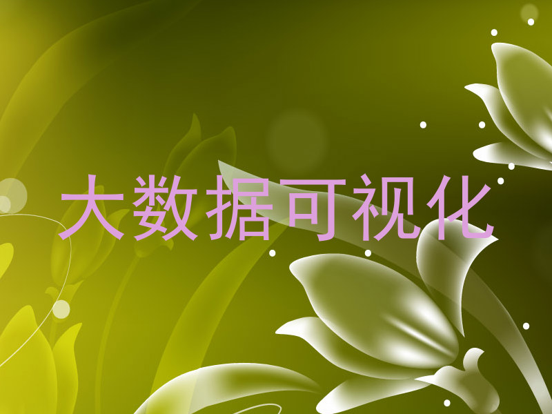 大数据可视化
