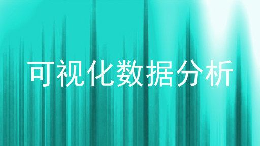 可视化数据分析