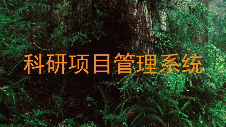 科研项目管理系统