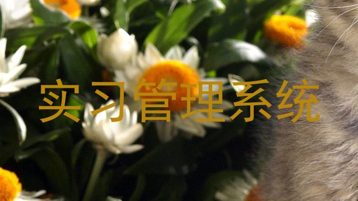 实习管理系统