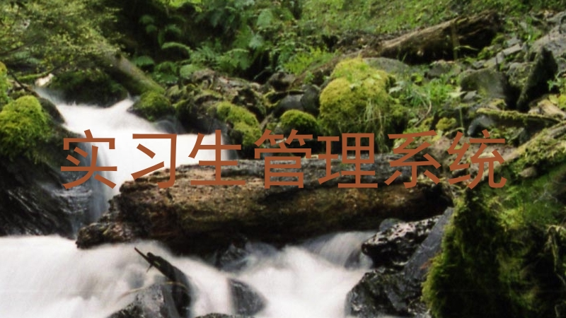 实习生管理系统
