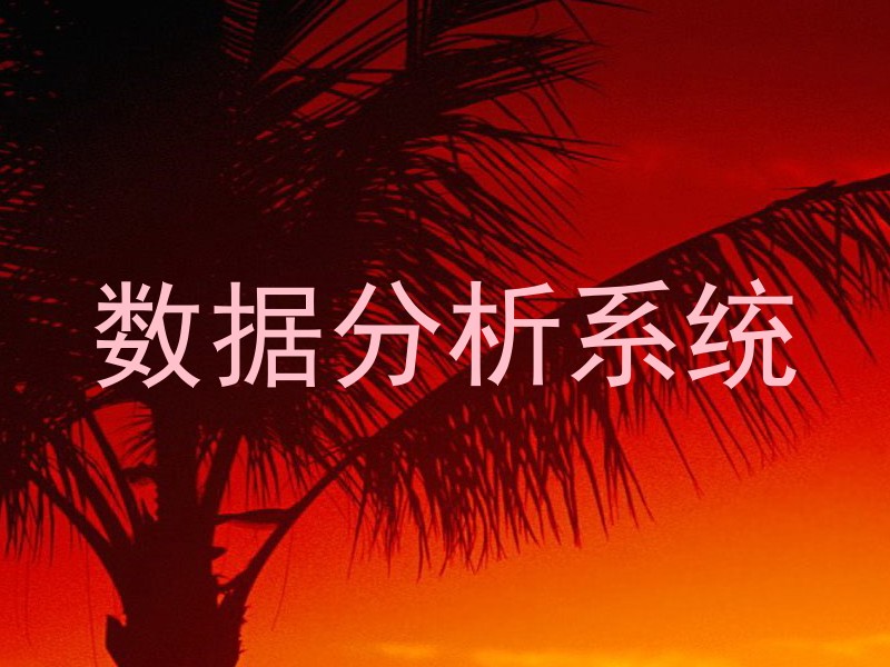 数据分析系统