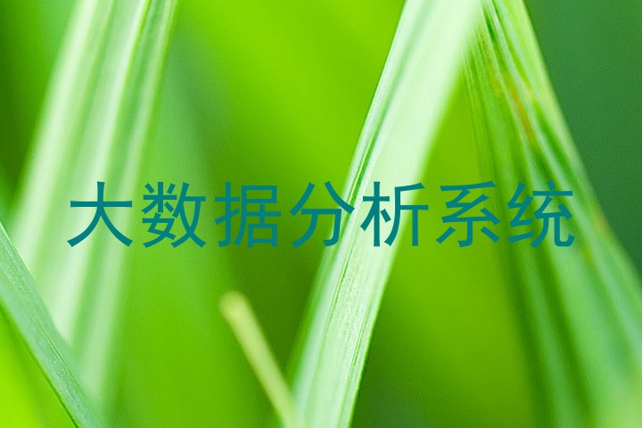 大数据分析系统