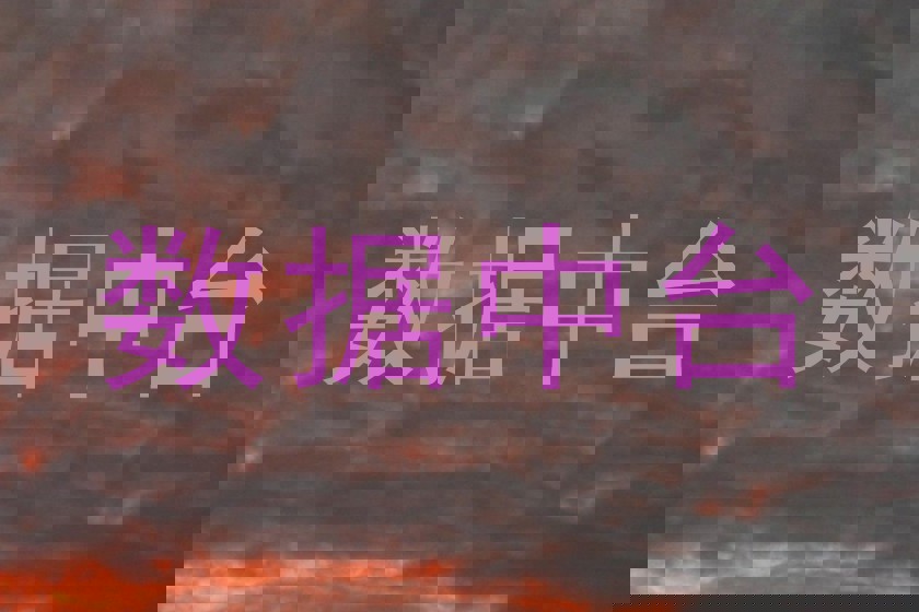 数据中台