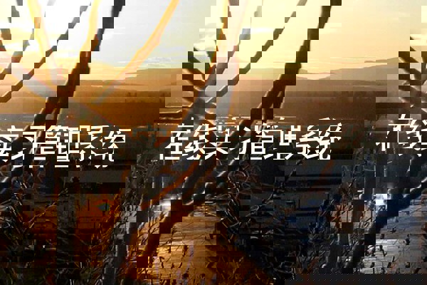 在线实习管理系统