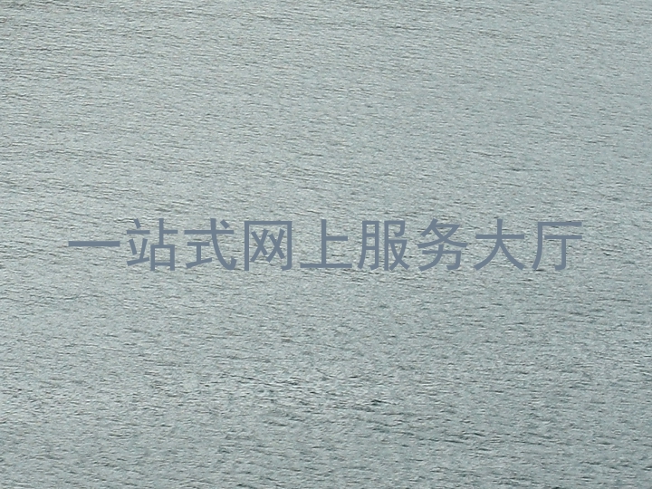 一站式网上服务大厅