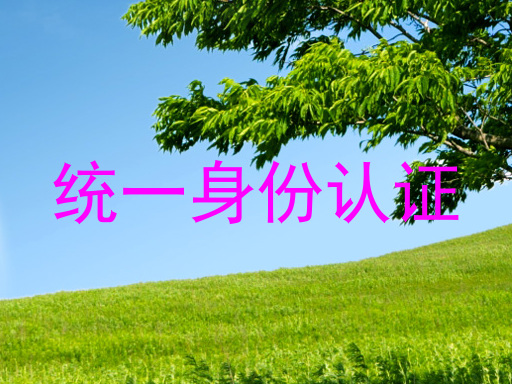 统一身份认证