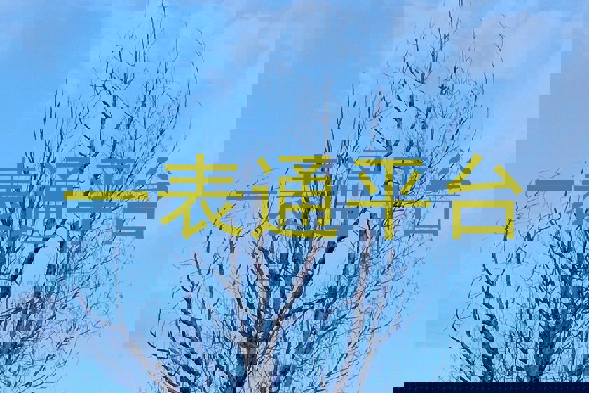 一表通平台