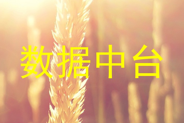 数据中台
