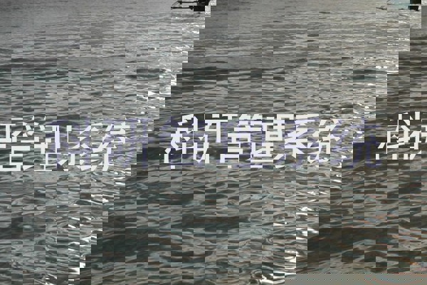 科研管理系统