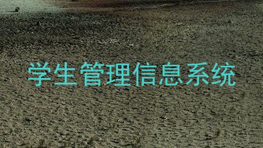 学生管理信息系统