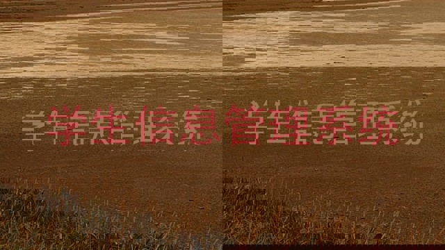 学生信息管理系统