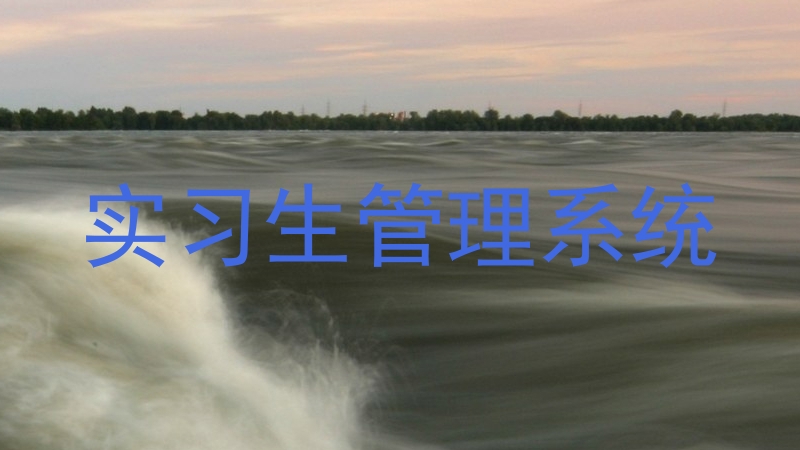 实习生管理系统