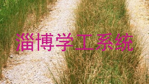 淄博学工系统