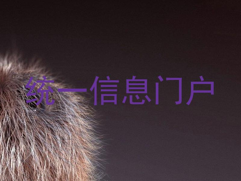 統(tǒng)一信息門戶