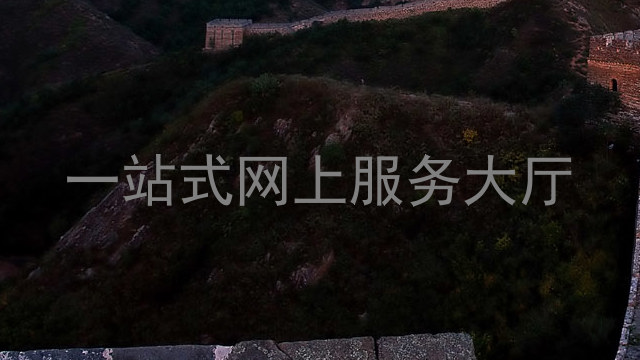 一站式网上服务大厅