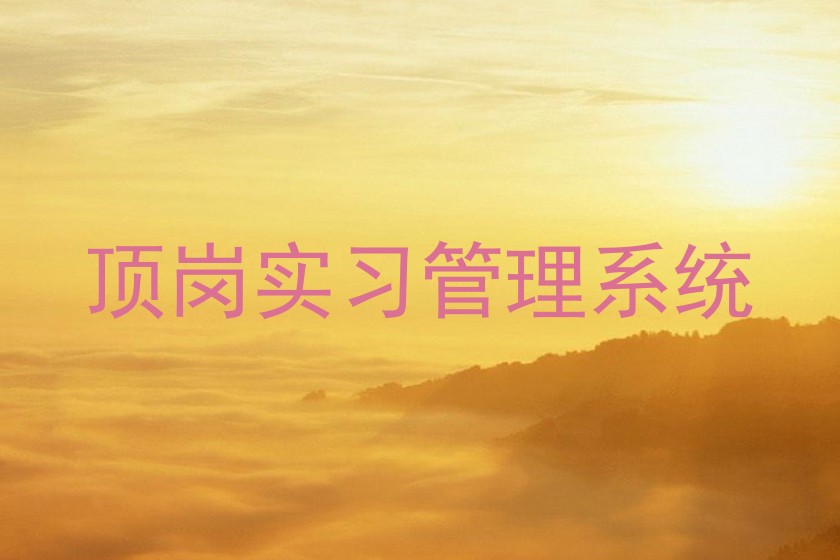 顶岗实习管理系统