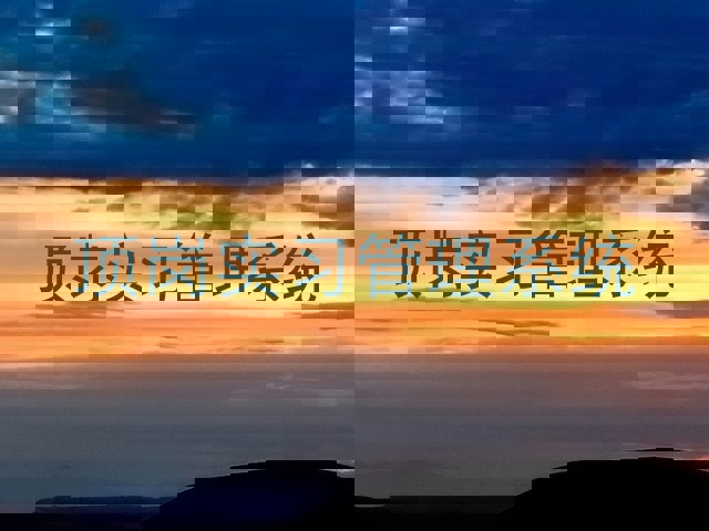 顶岗实习管理系统