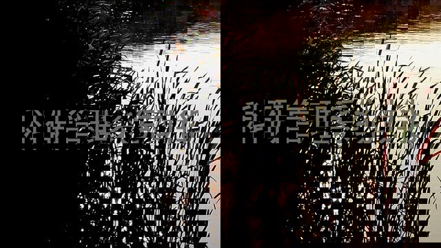 科研管理系统功能