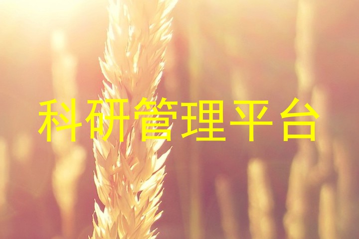 科研管理平台