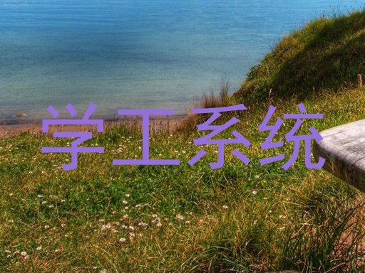 学工系统
