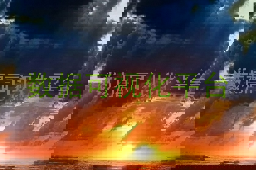 数据可视化平台