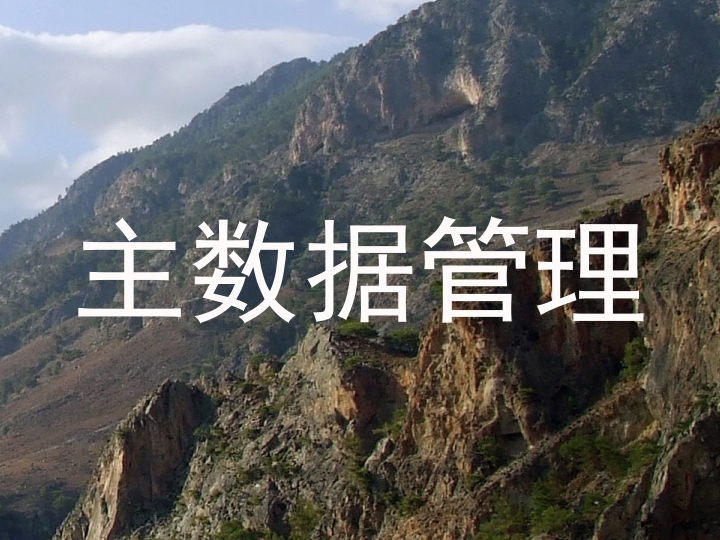 主数据管理