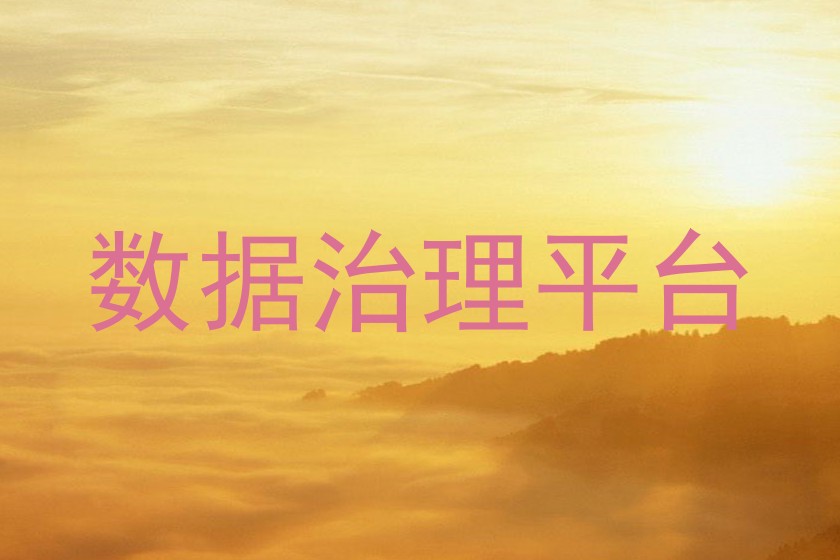 数据治理平台
