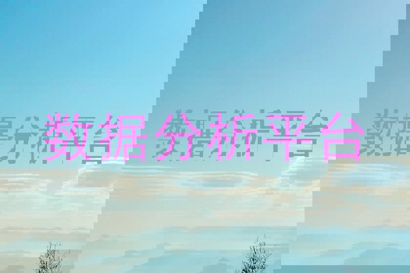 数据分析平台