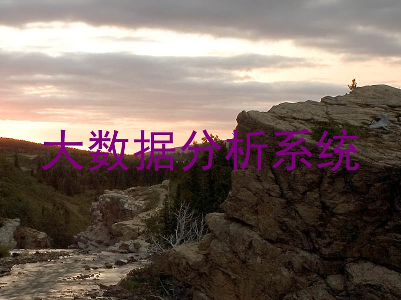 大数据分析系统
