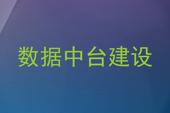 数据中台建设