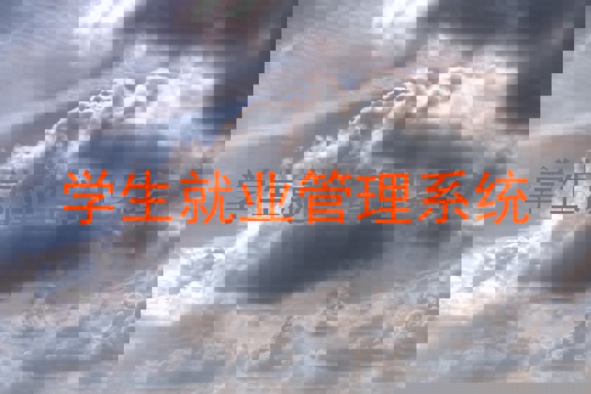 学生就业管理系统
