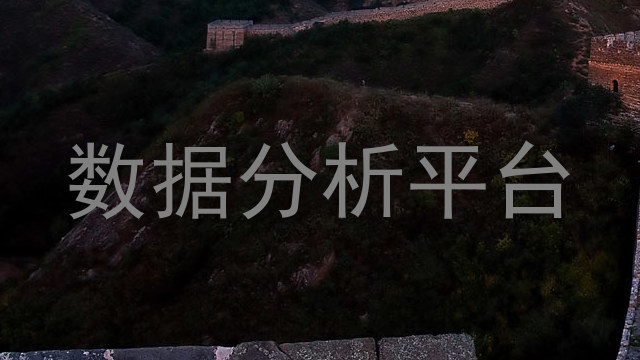 数据分析平台
