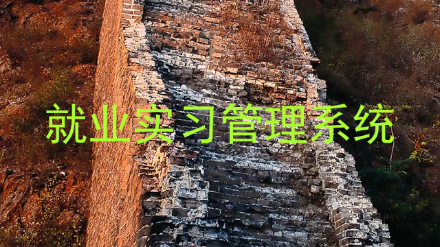 就业实习管理系统